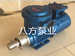 WXF不锈钢齿轮泵-微型不锈钢齿轮泵-微型齿轮泵